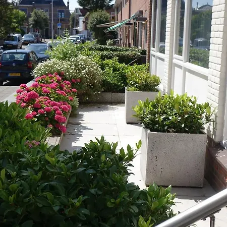 Golfzicht Отель 3*