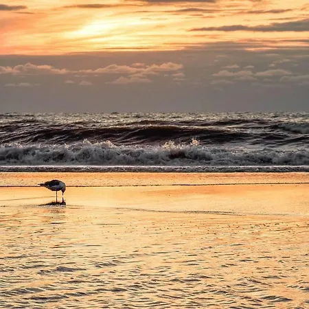 Golfzicht Отель